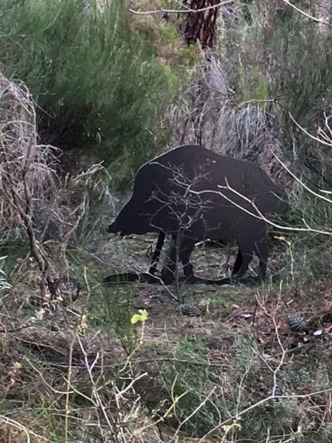 Cacería fotográfica