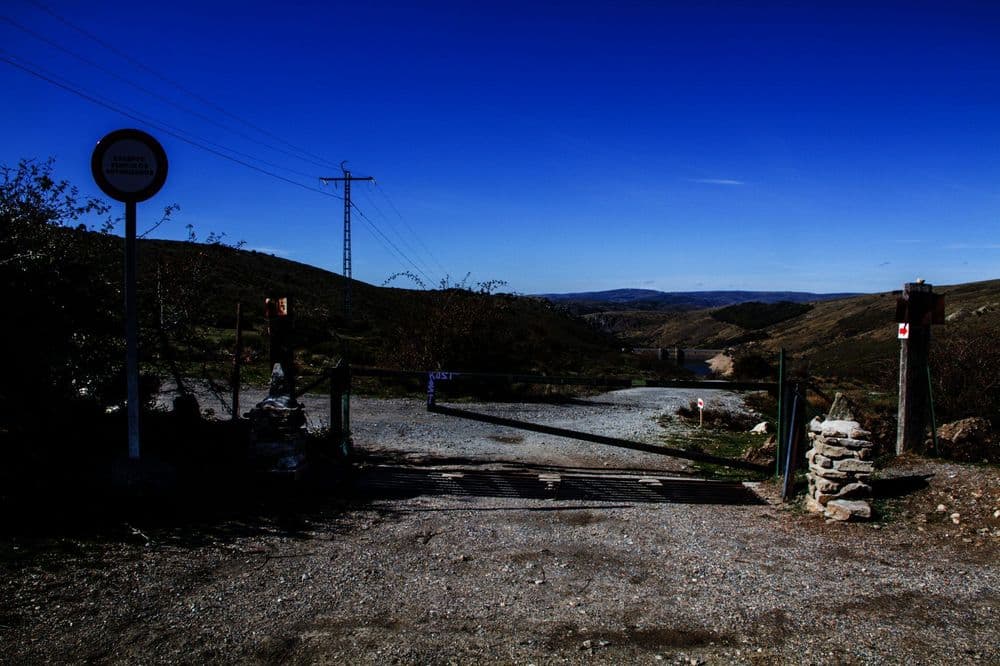 Pinar de Abantos