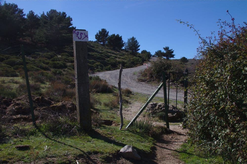 Pinar de Abantos