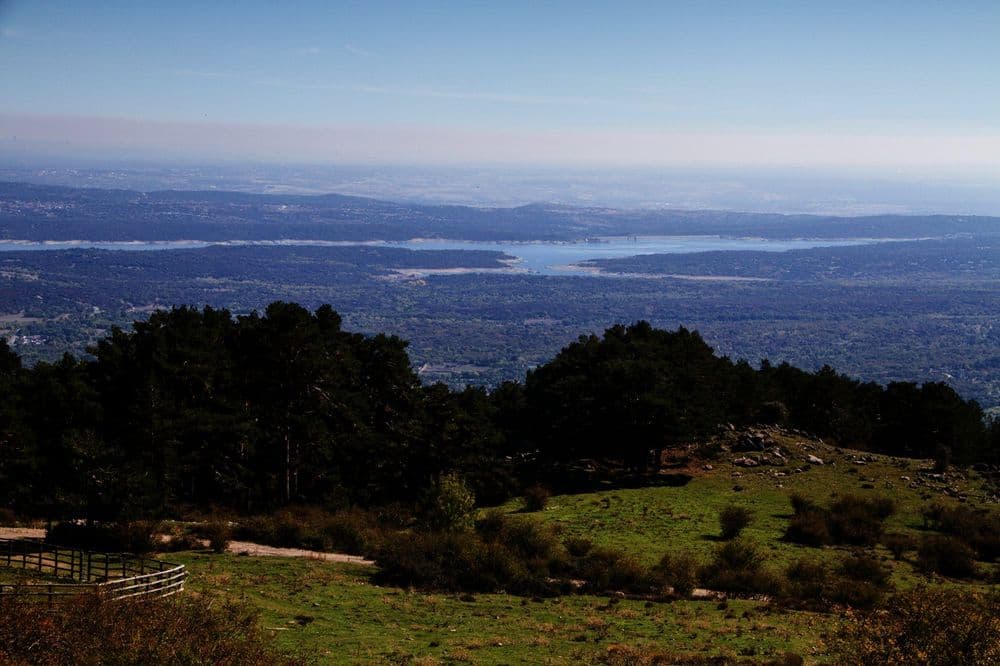 Pinar de Abantos