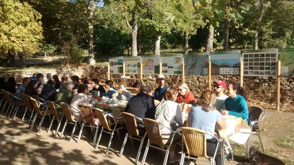 Fuente del Seminario Quiosco