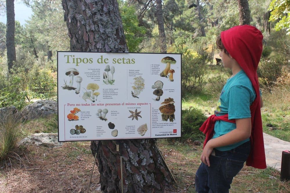 Tesoros de Abantos