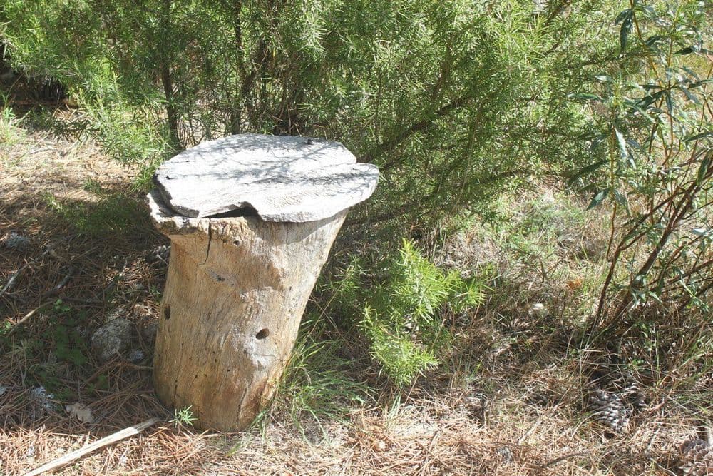 Tesoros de Abantos