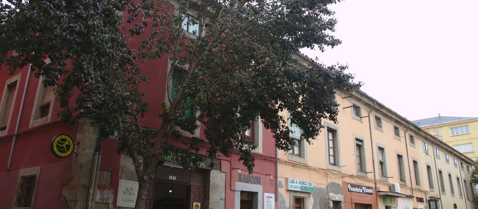 Casa del Duque de Arcos, luego de Alba