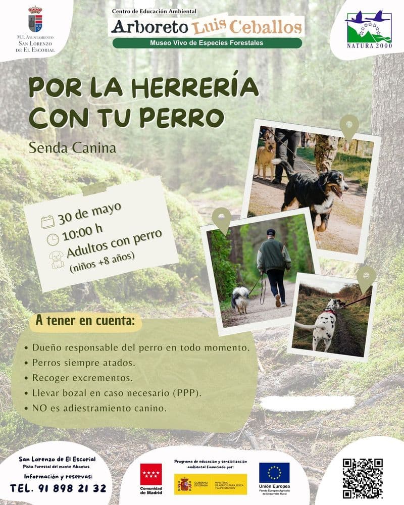 Senda canina en el Bosque de la Herrería