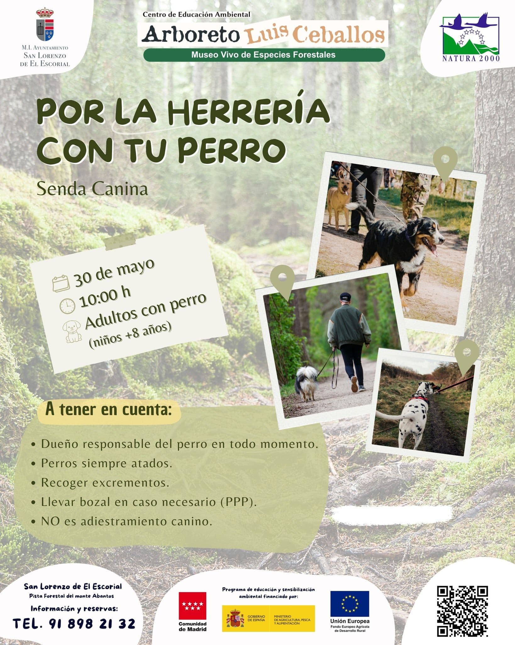 Senda canina en el Bosque de la Herrería